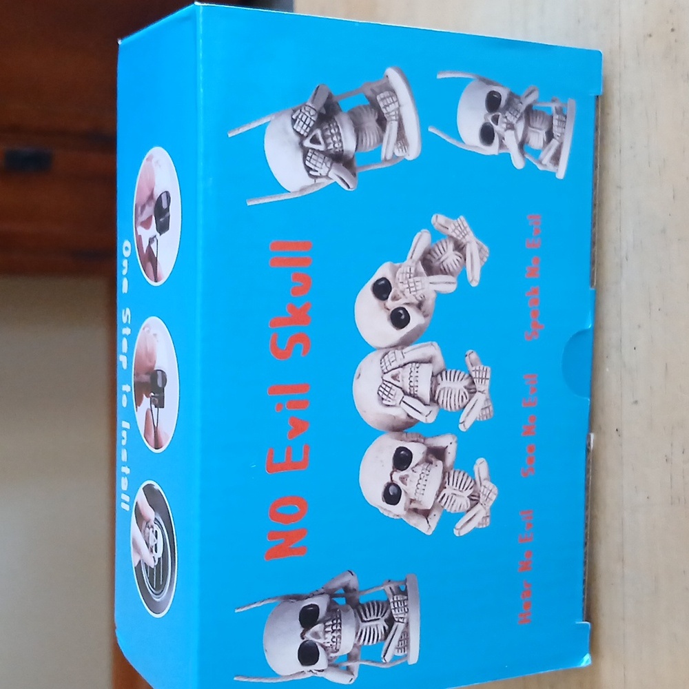 No Evil Skull Vent Clips